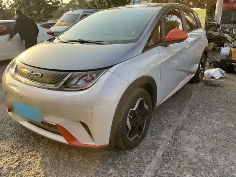 2021 BYD Dolphin BEV 44.9KWH