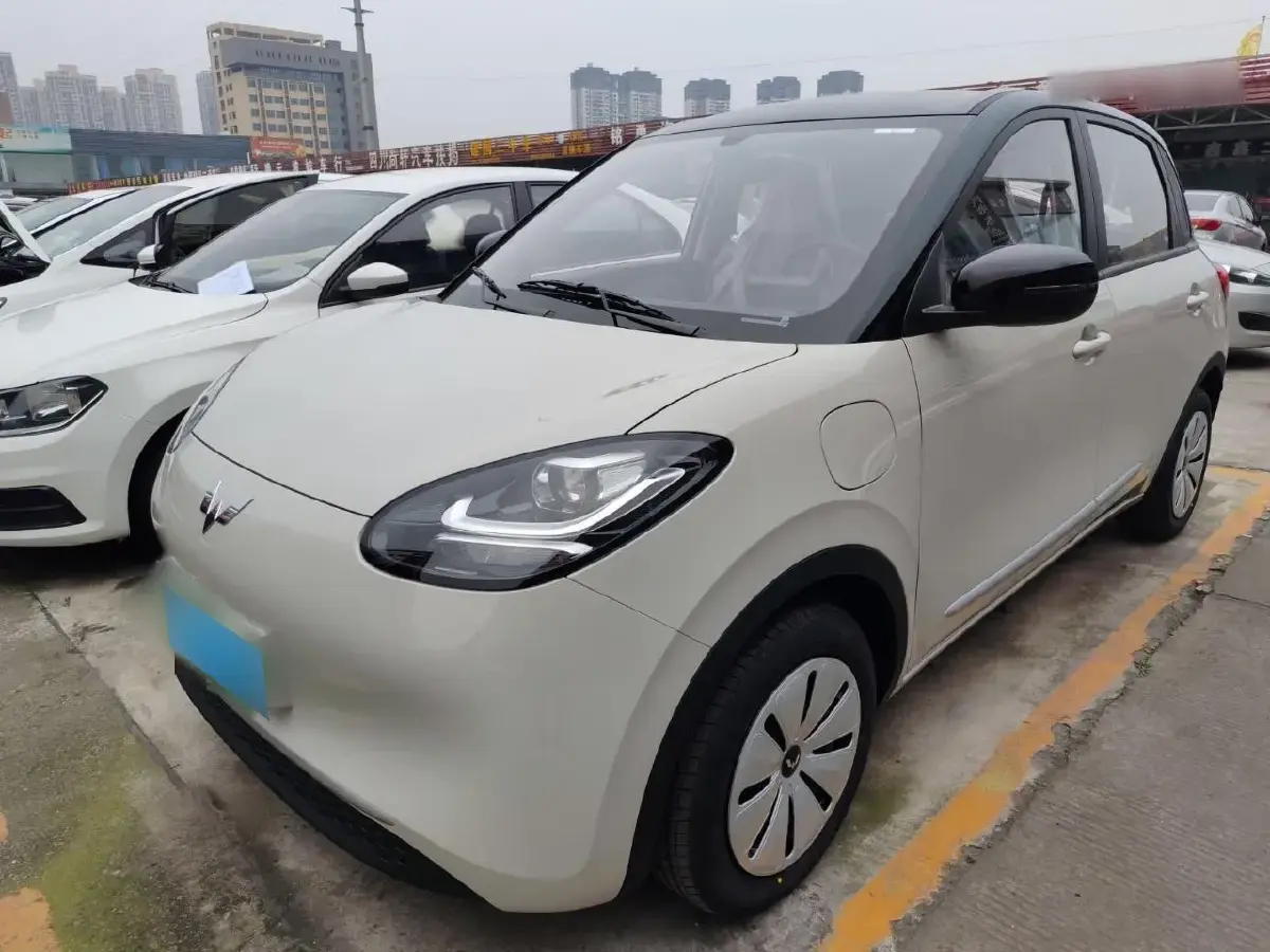 2024 WuLing BinGuo BEV 17.3KWH