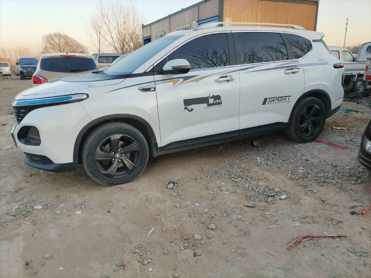 2019 BaoJun RM-5 1.5T 147HP L4 CVT,autocango,china used car exporter,china ev exporter,chinese used car exporter,chinese used ev exporter