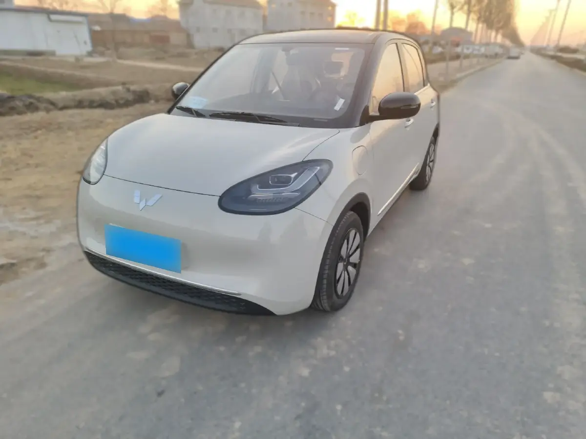 2024 WuLing BinGuo BEV 31.9KWH