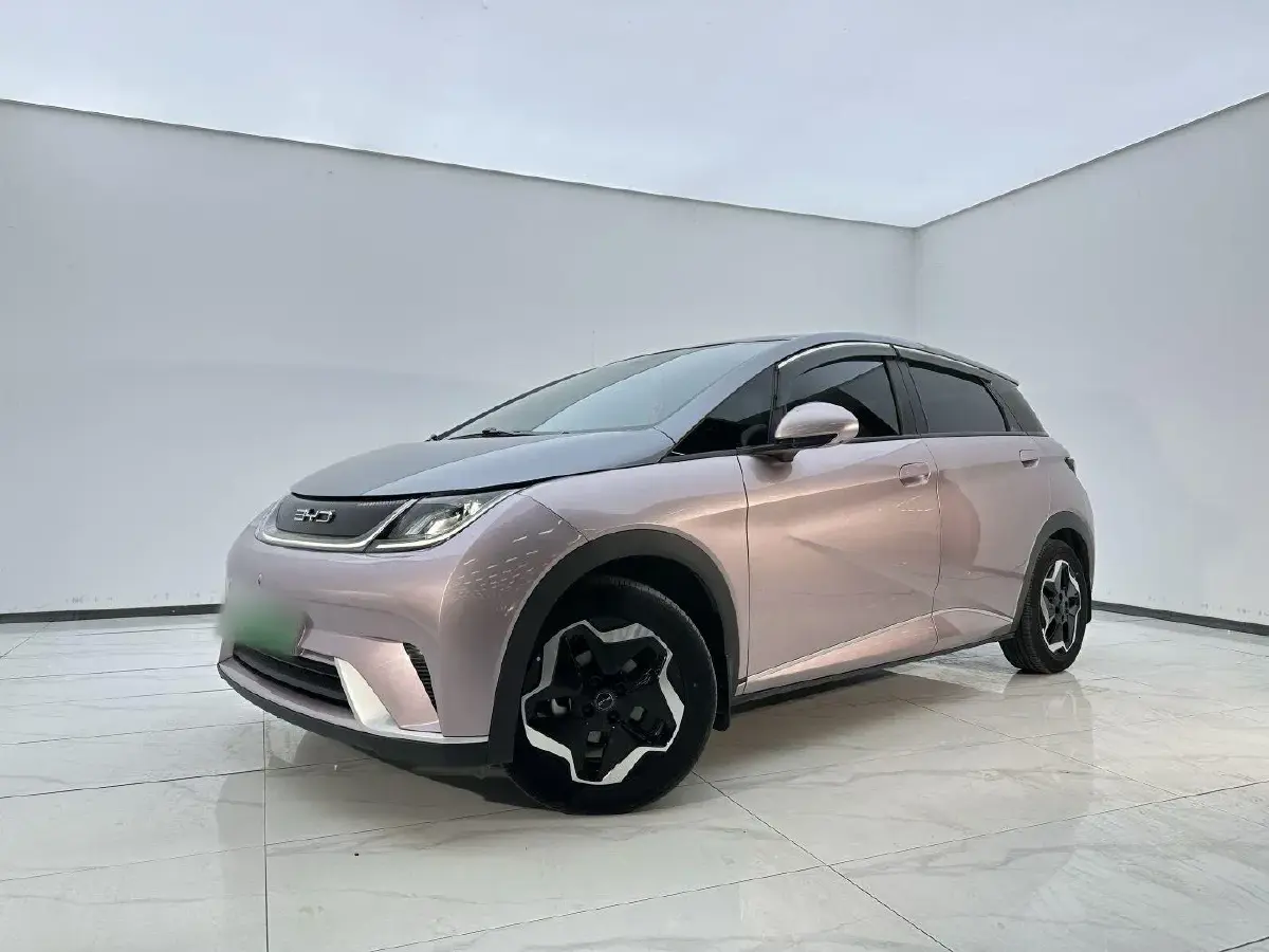 2021 BYD Dolphin BEV 44.9KWH