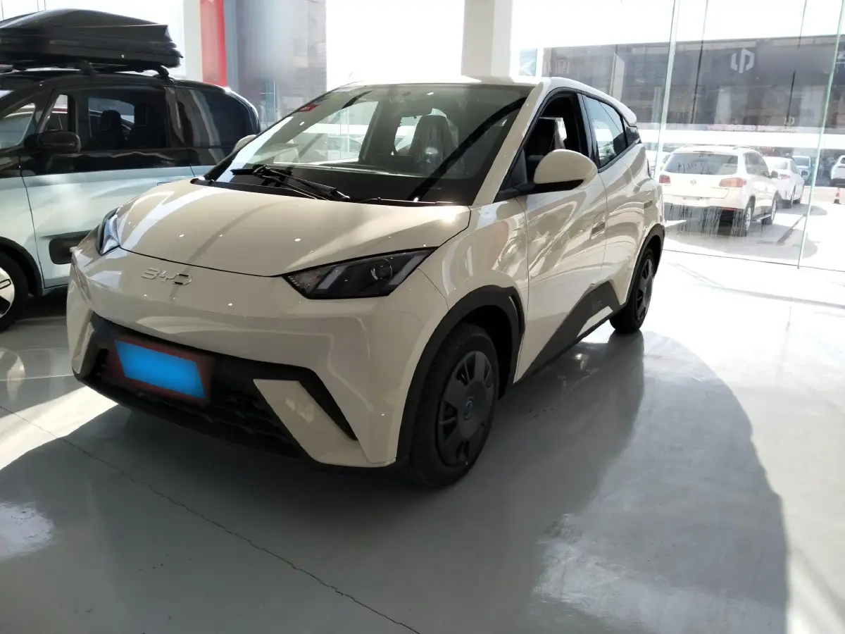 2025 BYD Seagull BEV 30.08KWH