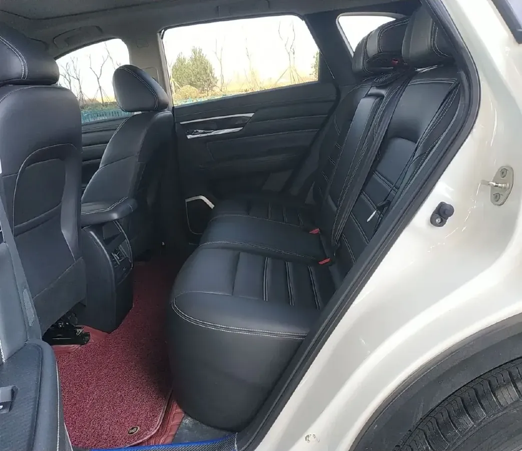 2020 Venucia Star 1.5T 190HP L4 7DCT,autocango,china used car exporter,china ev exporter,chinese used car exporter,chinese used ev exporter