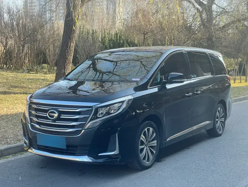 2020 GAC Trumpchi M8 2.0T 252HP L4 8AT