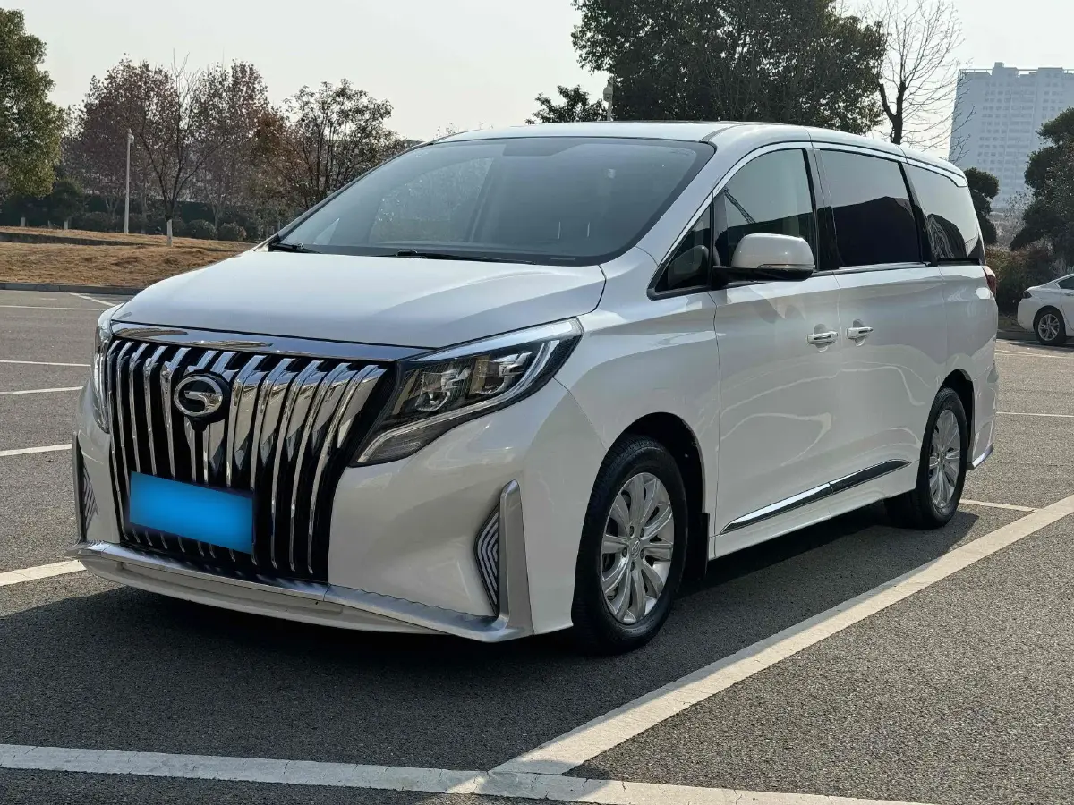 2020 GAC Trumpchi M8 2.0T 252HP L4 8AT