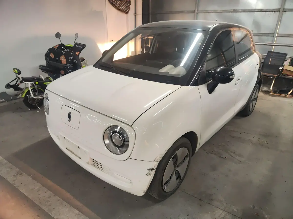 2019 Ora BlackCat BEV 28.5KWH