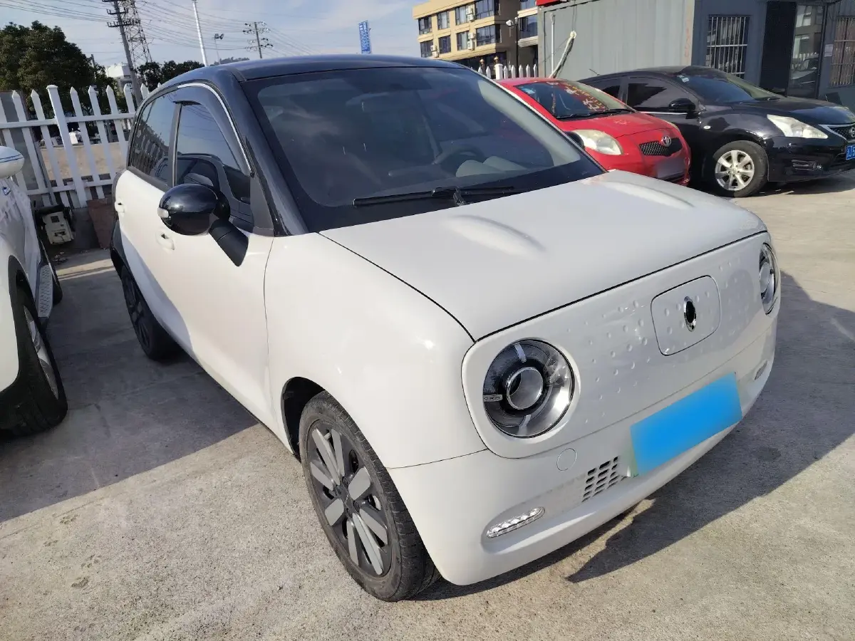 2021 Ora BlackCat BEV 33KWH