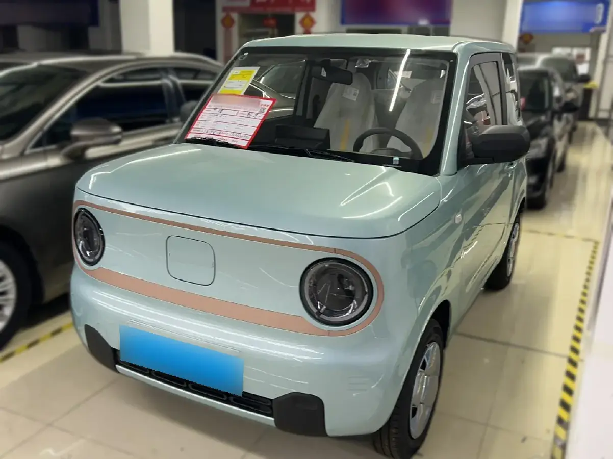 2024 Geely Panda BEV 17.03KWH