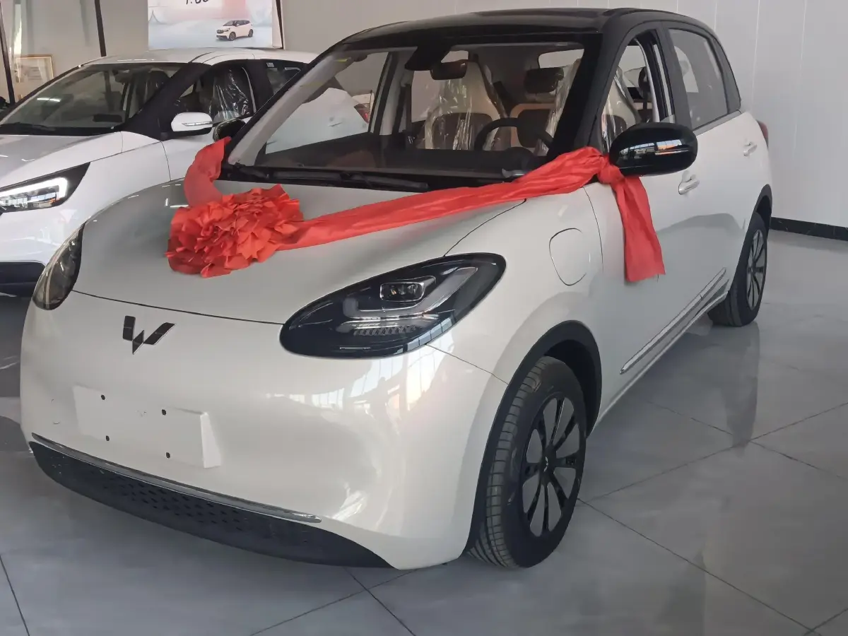 2023 WuLing BinGuo BEV 37.9KWH