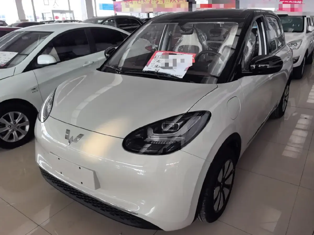 2024 WuLing BinGuo BEV 31.9KWH