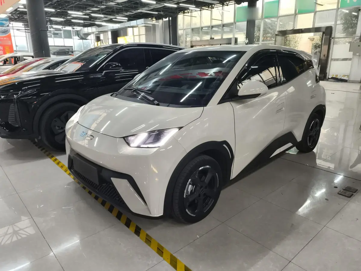 2023 BYD Seagull BEV 30.08KWH