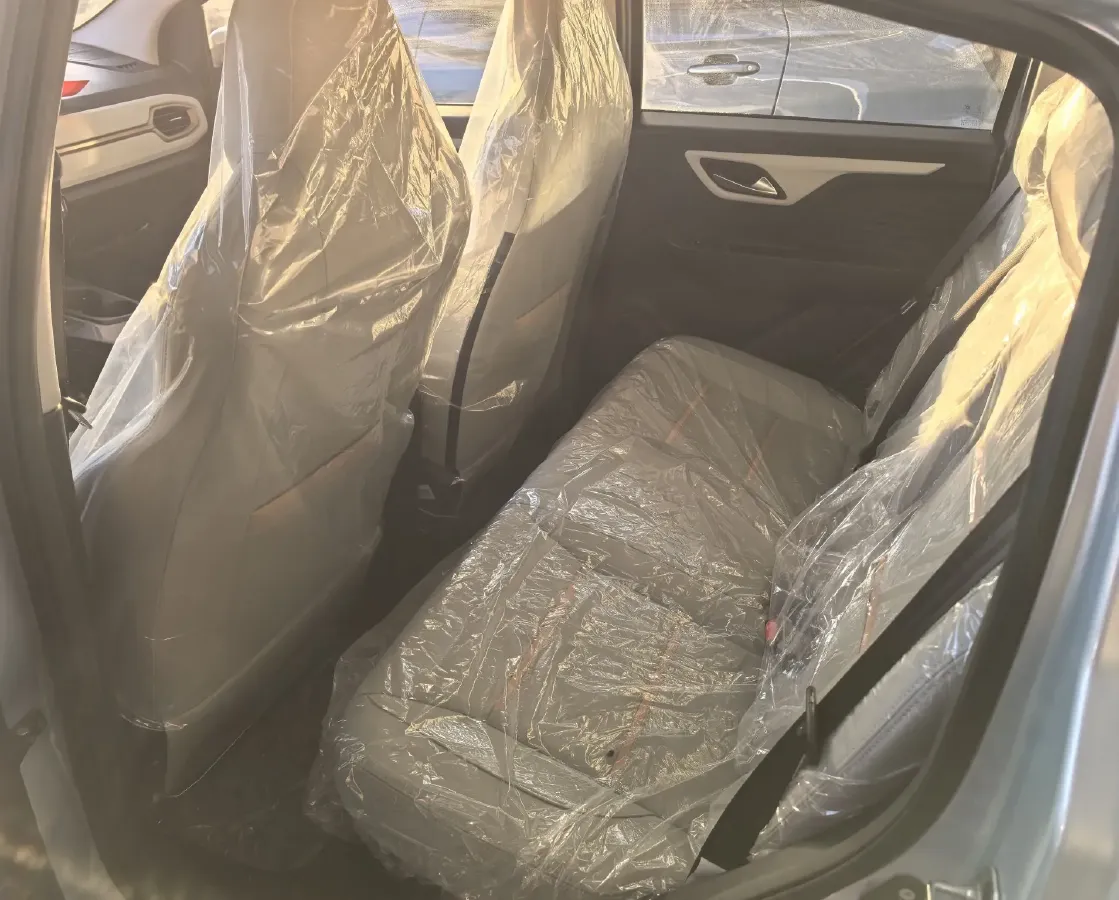 2023 Sehol HuaXianZi BEV 30.2KWH,autocango,china used car exporter,china ev exporter,chinese used car exporter,chinese used ev exporter