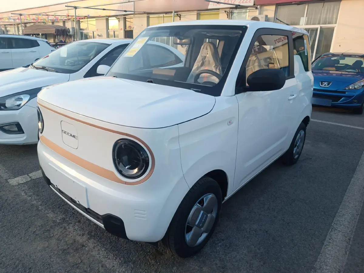 2024 Geely Panda BEV 17.03KWH