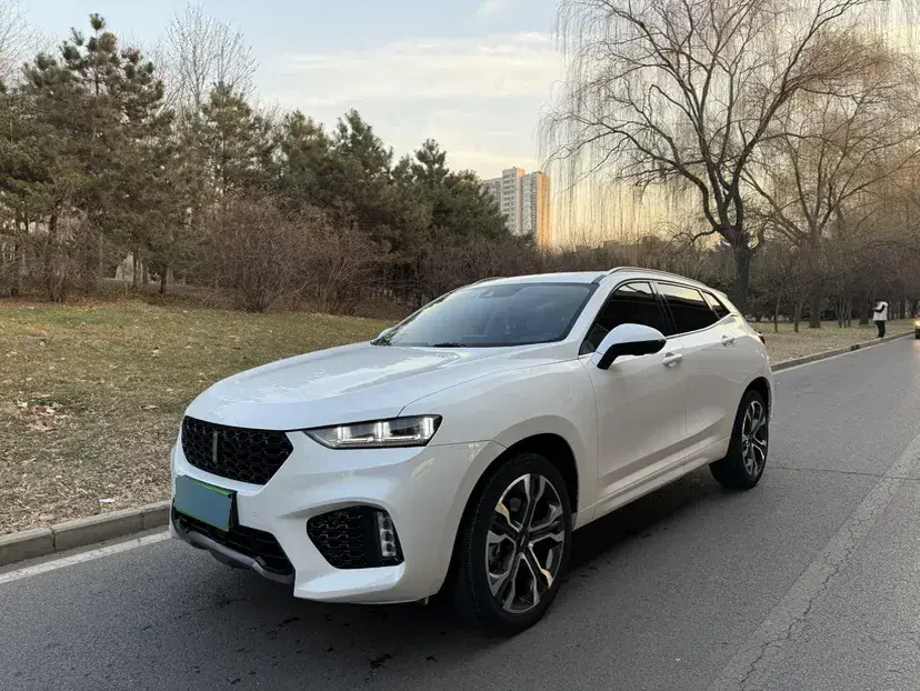 2017 WEY VV7 2.0T 234HP L4 7DCT