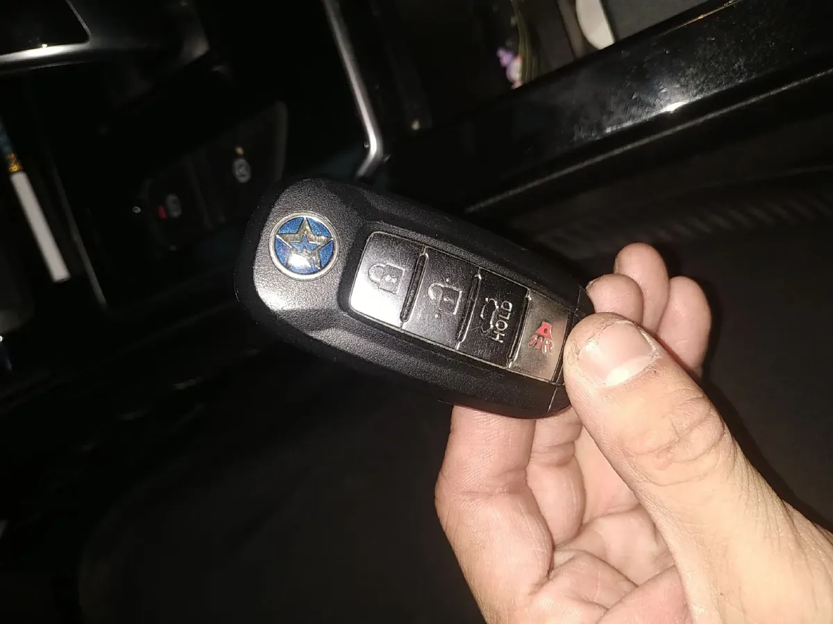 2019 Venucia D60 EV BEV 58KWH,autocango,china used car exporter,china ev exporter,chinese used car exporter,chinese used ev exporter