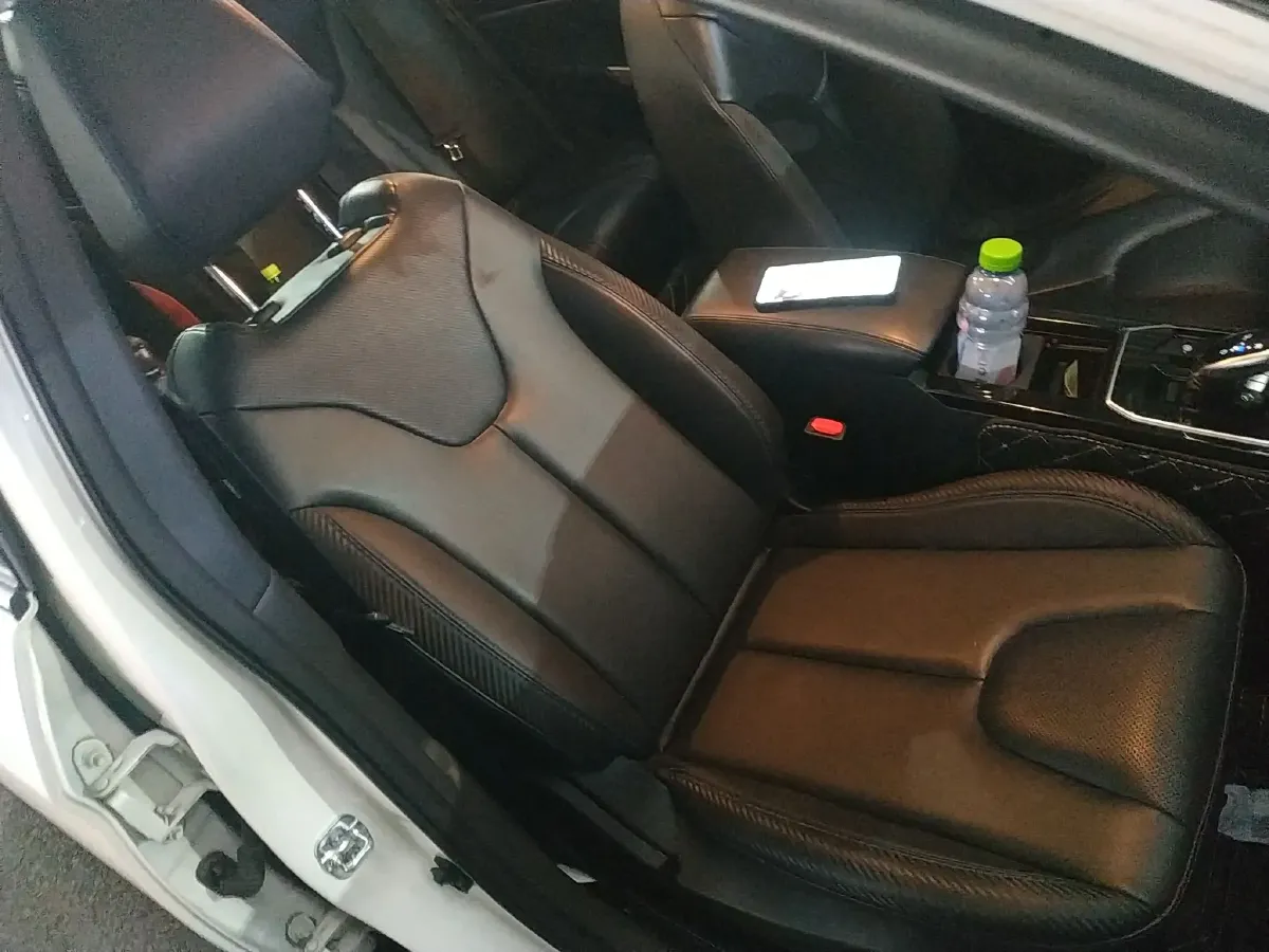 2019 Venucia D60 EV BEV 58KWH,autocango,china used car exporter,china ev exporter,chinese used car exporter,chinese used ev exporter