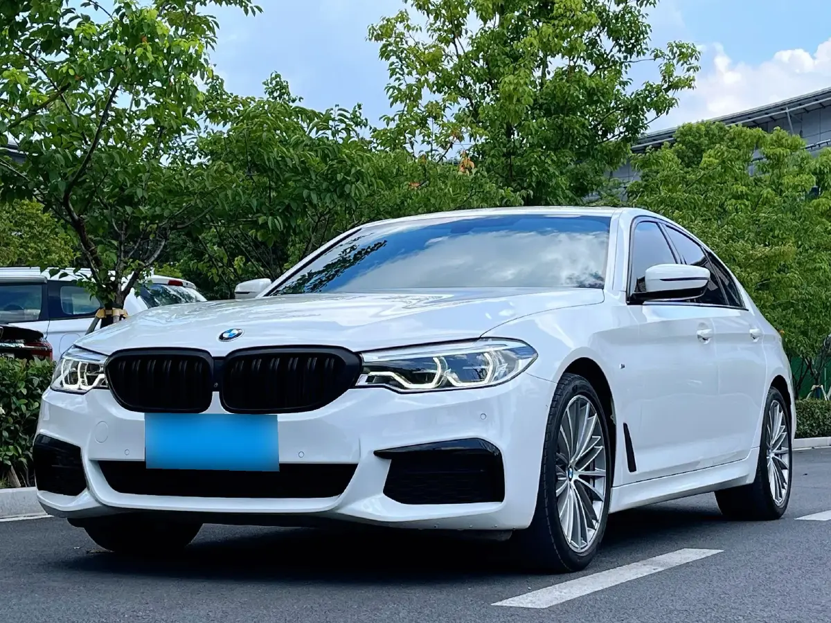 2019 BMW 5 Series 2.0T 252HP L4 8AT