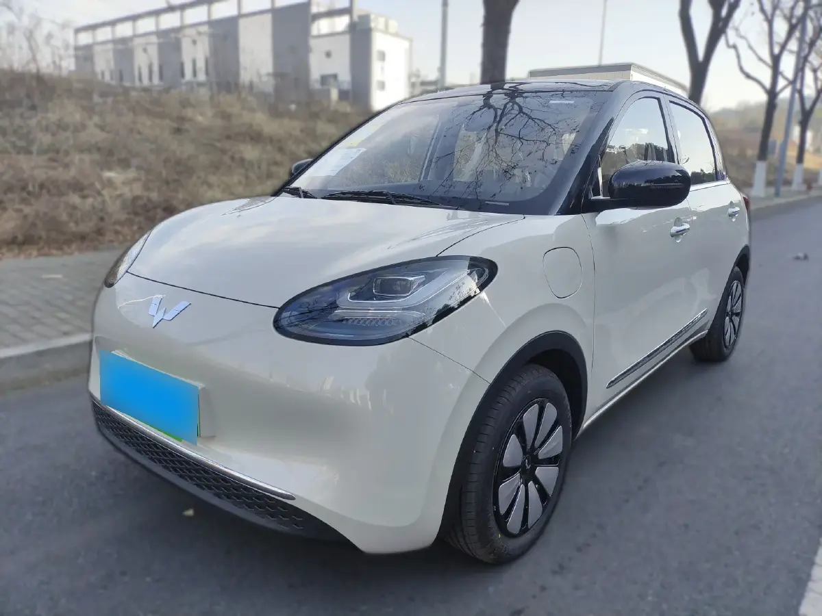 2024 WuLing BinGuo BEV 31.9KWH
