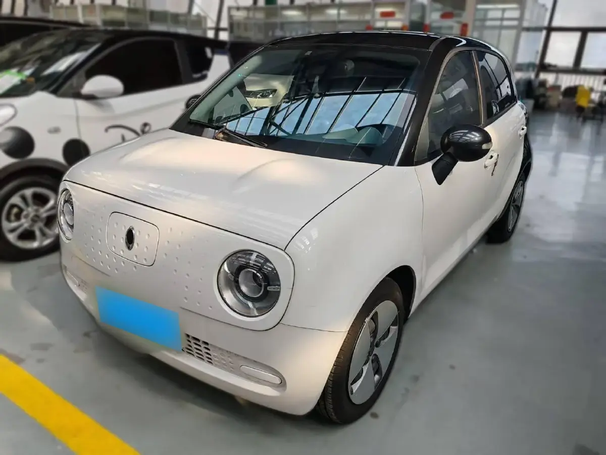 2021 Ora BlackCat BEV 30.3KWH