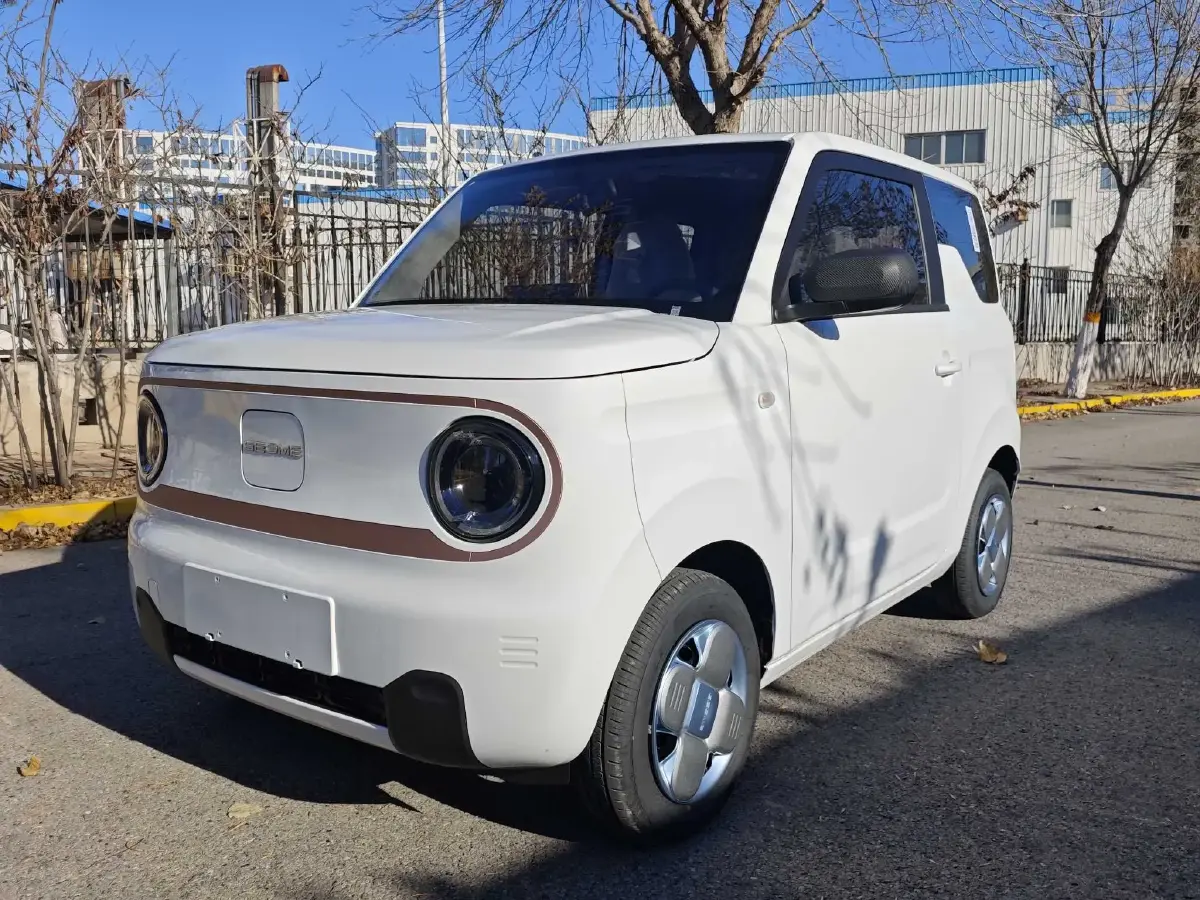 2024 Geely Panda BEV 17.03KWH