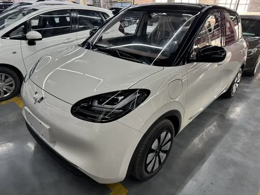 2024 WuLing BinGuo BEV 31.9KWH