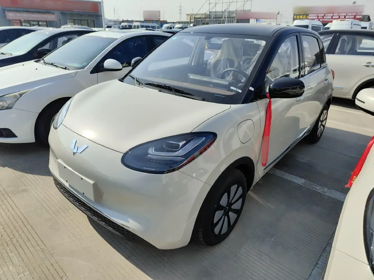2024 WuLing BinGuo BEV 31.9KWH