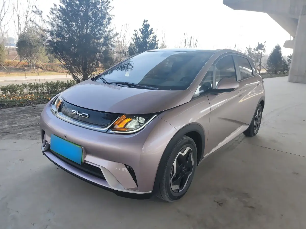 2021 BYD Dolphin BEV 44.9KWH