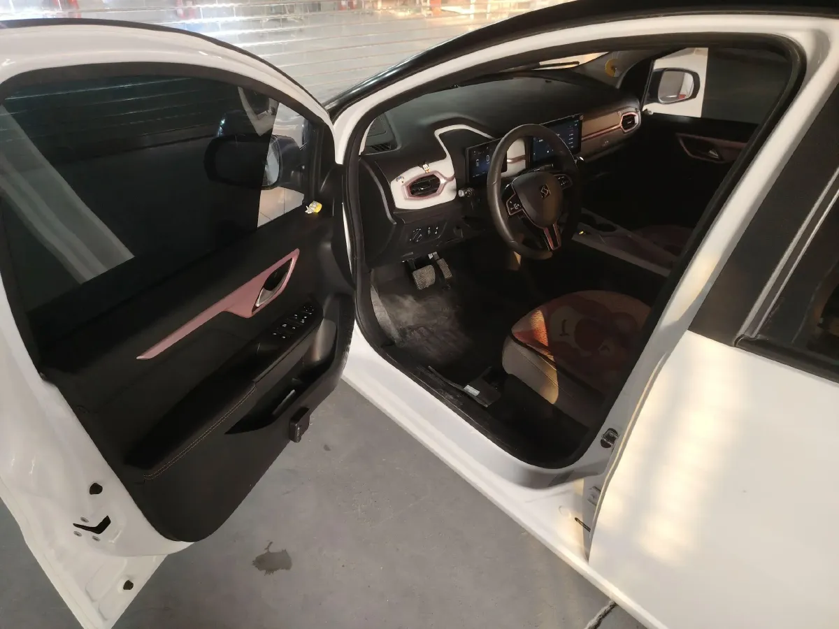 2022 Sehol HuaXianZi BEV 31.5KWH,autocango,china used car exporter,china ev exporter,chinese used car exporter,chinese used ev exporter