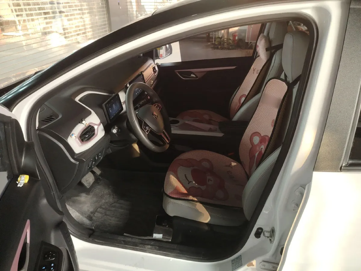 2022 Sehol HuaXianZi BEV 31.5KWH,autocango,china used car exporter,china ev exporter,chinese used car exporter,chinese used ev exporter