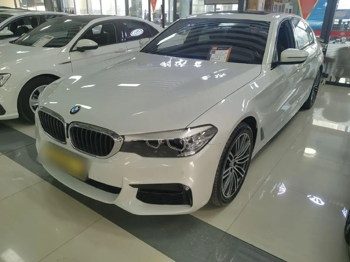 2019 BMW 5 Series 2.0T 252HP L4 8AT