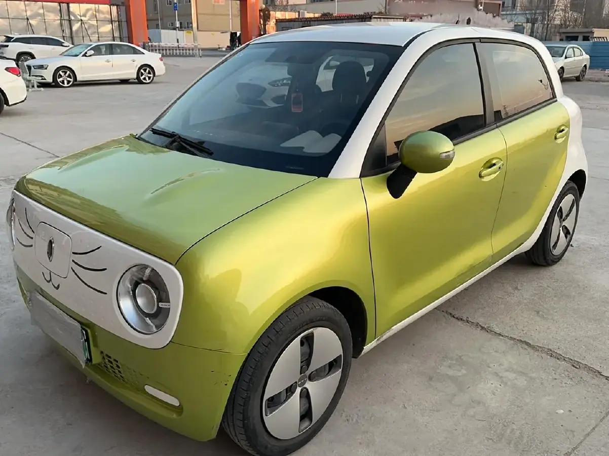 2021 Ora BlackCat BEV 28.5KWH