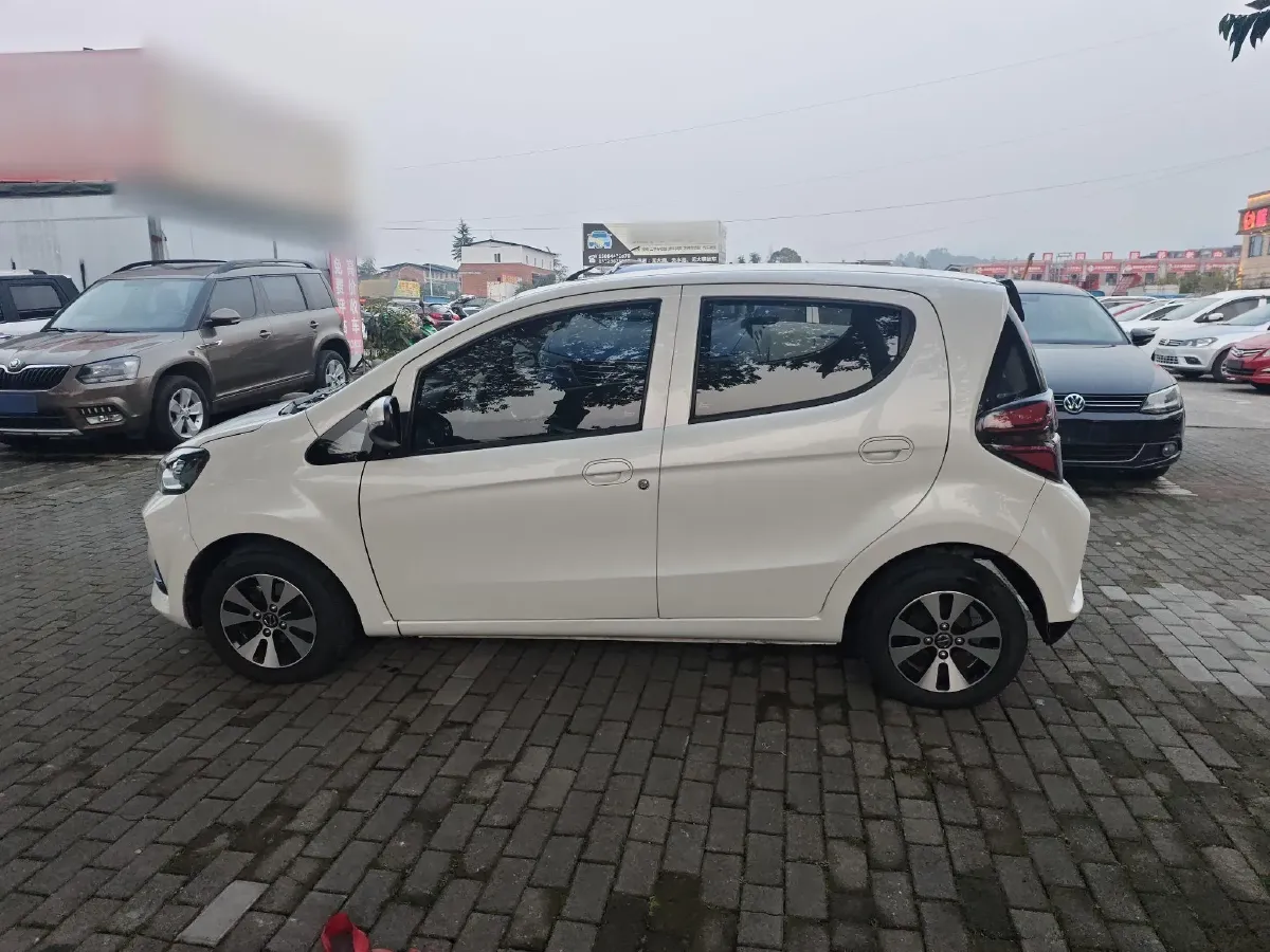 2018 JMEV E200N BEV 29.2KWH,autocango,china used car exporter,china ev exporter,chinese used car exporter,chinese used ev exporter