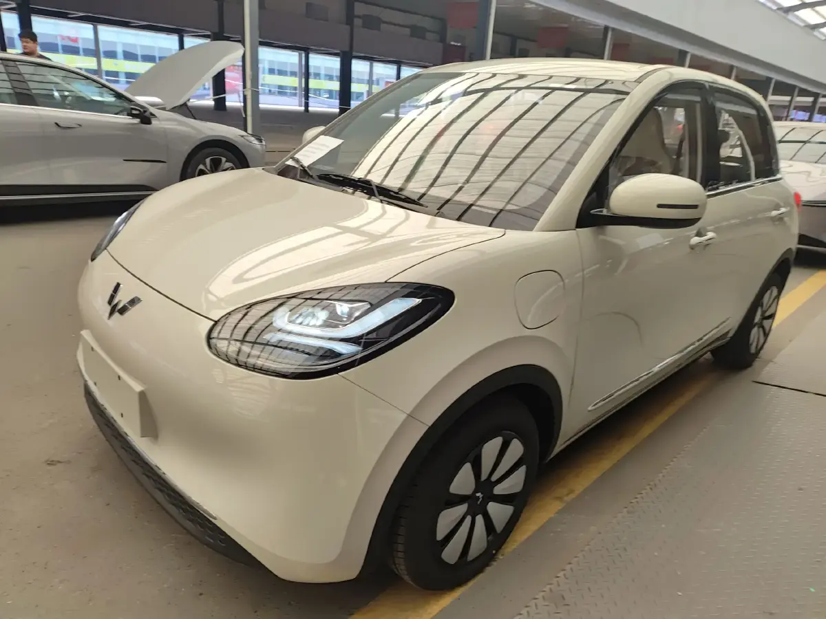 2024 WuLing BinGuo BEV 31.9KWH