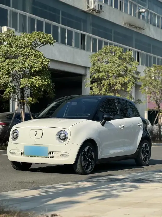 2022 Ora BlackCat BEV 36KWH