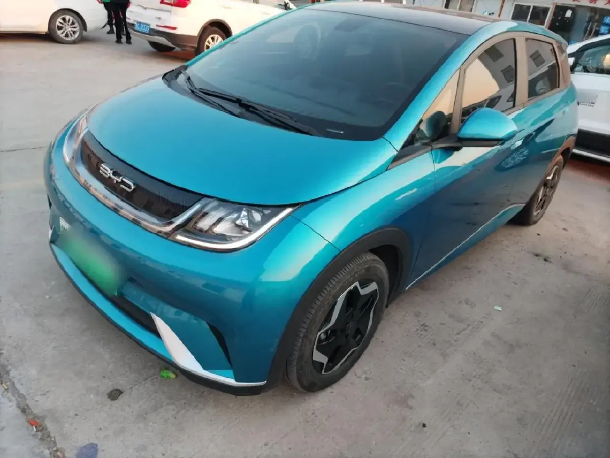 2021 BYD Dolphin BEV 44.9KWH