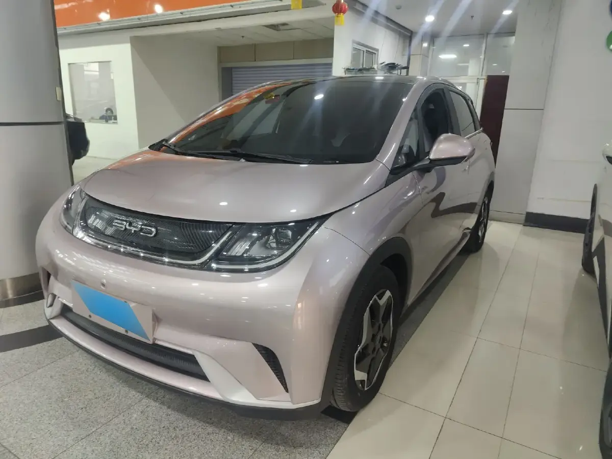 2021 BYD Dolphin BEV 44.9KWH