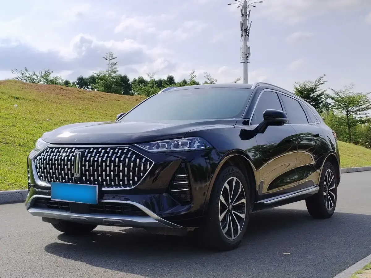 2021 WEY Mocha 2.0T 214HP L4 9DCT