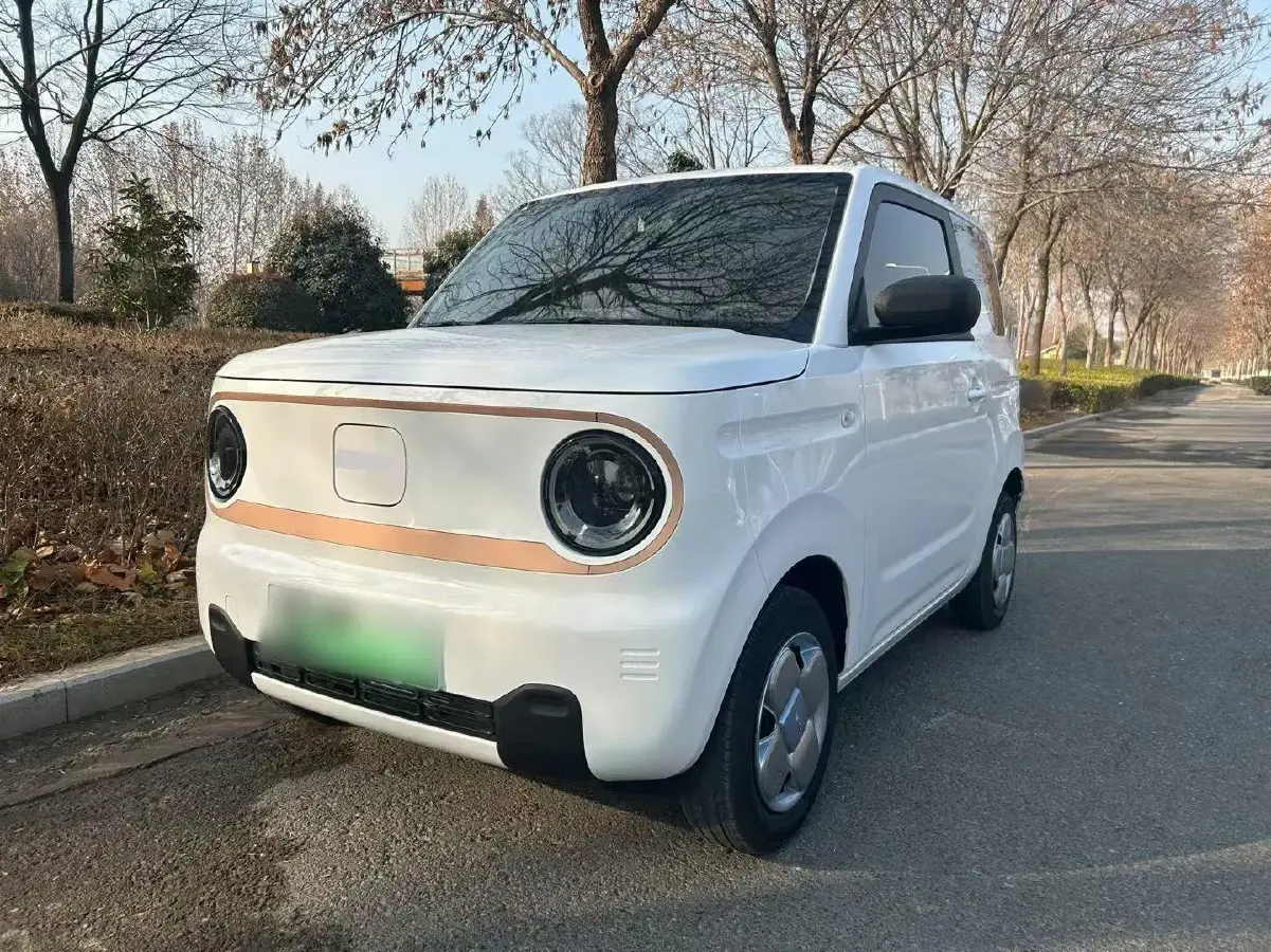 2024 Geely Panda BEV 17.03KWH