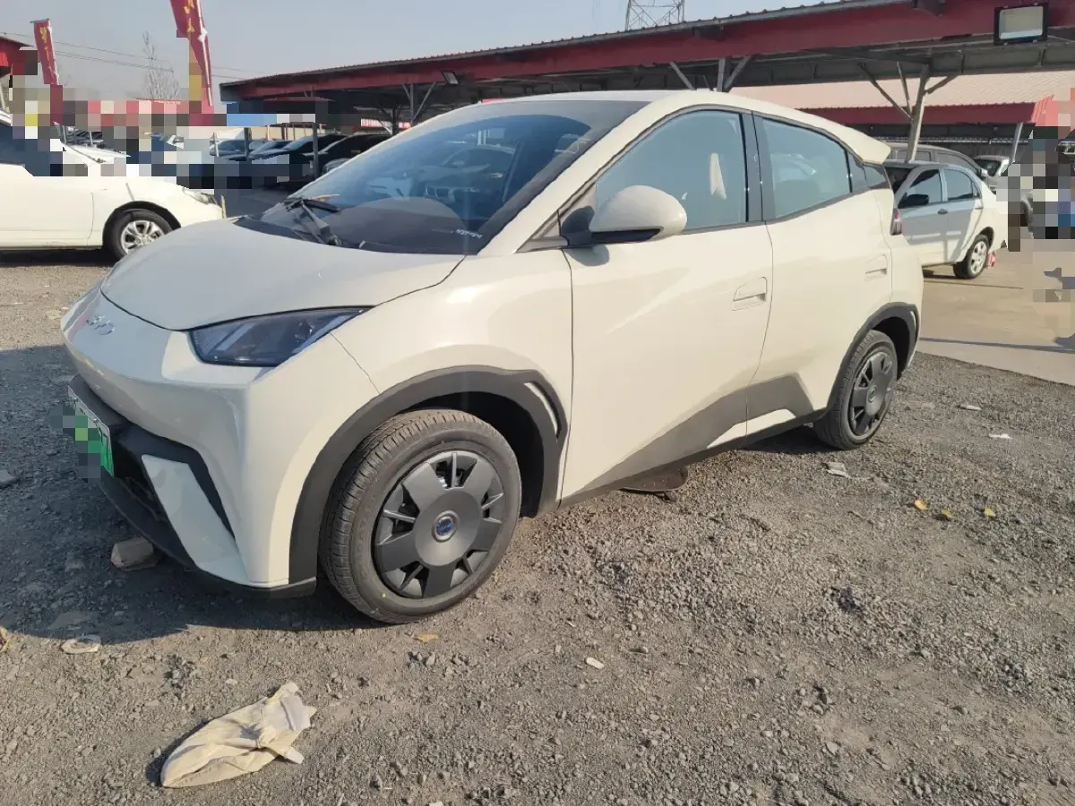 2025 BYD Seagull BEV 30.08KWH