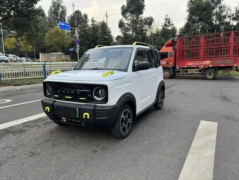 2025 Geely Panda BEV 17.03KWH