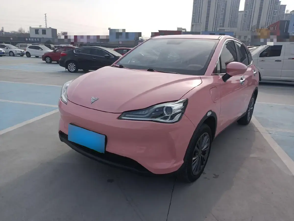 2021 Neta V BEV 38.54KWH