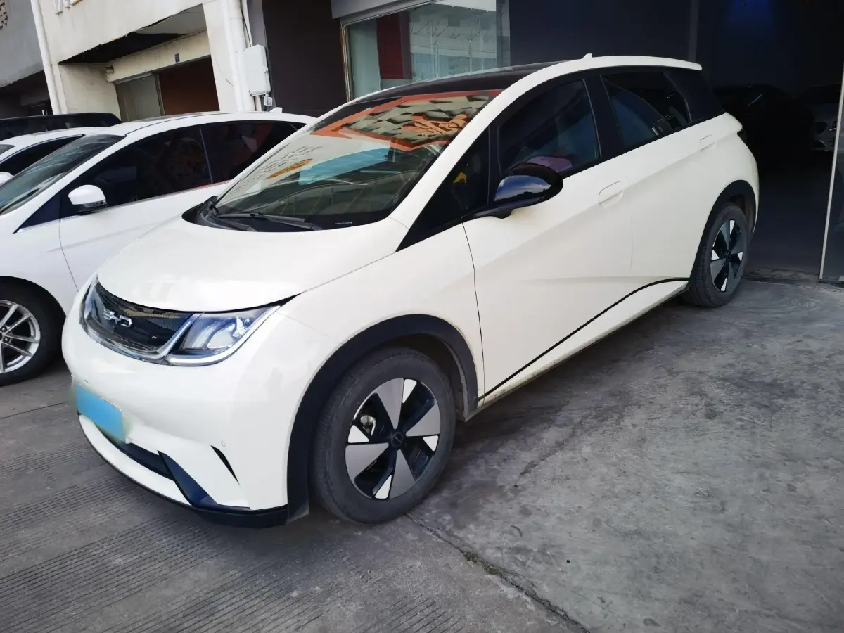 2023 BYD Dolphin BEV 44.928KWH