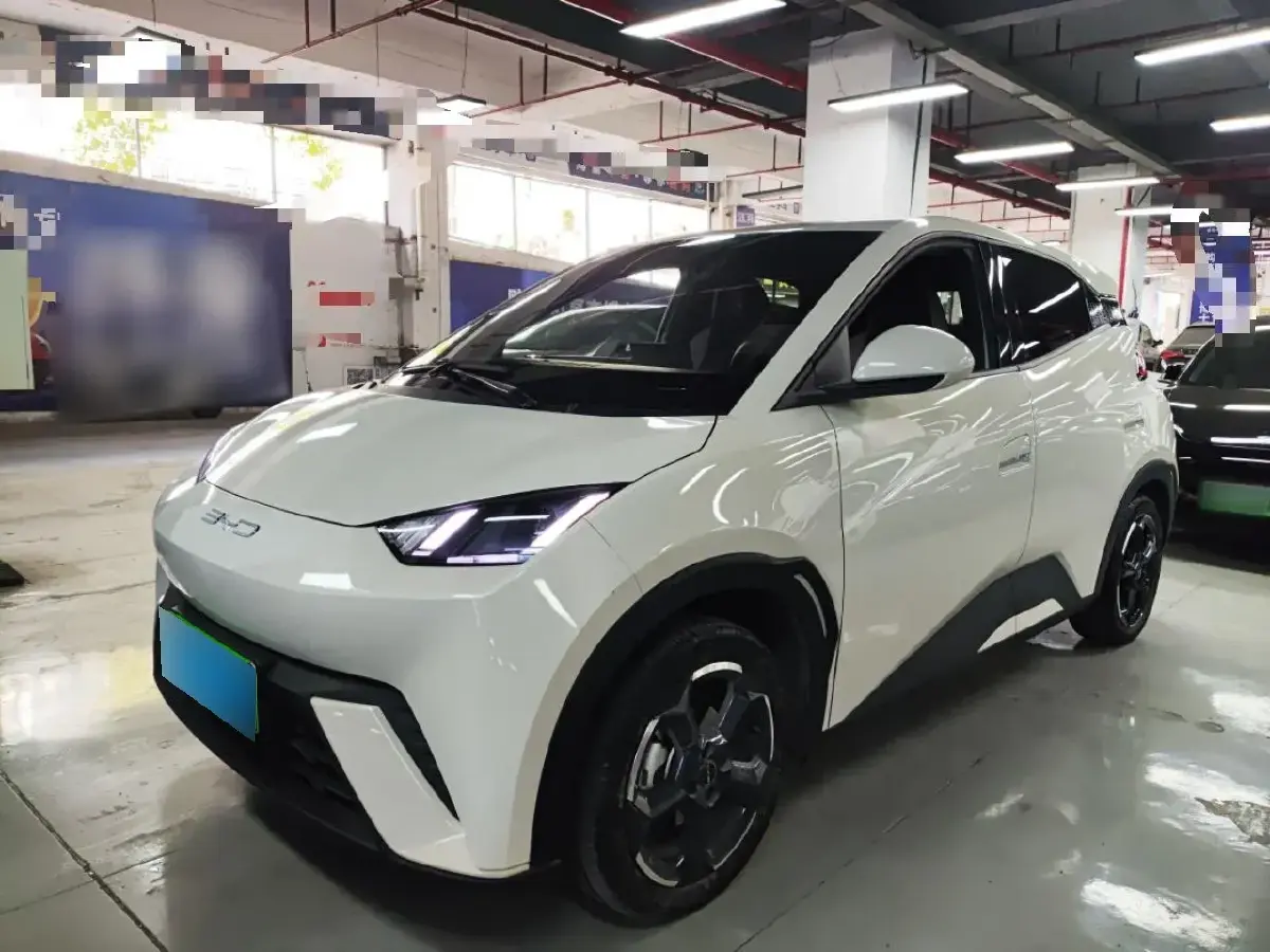 2023 BYD Seagull BEV 38.88KWH