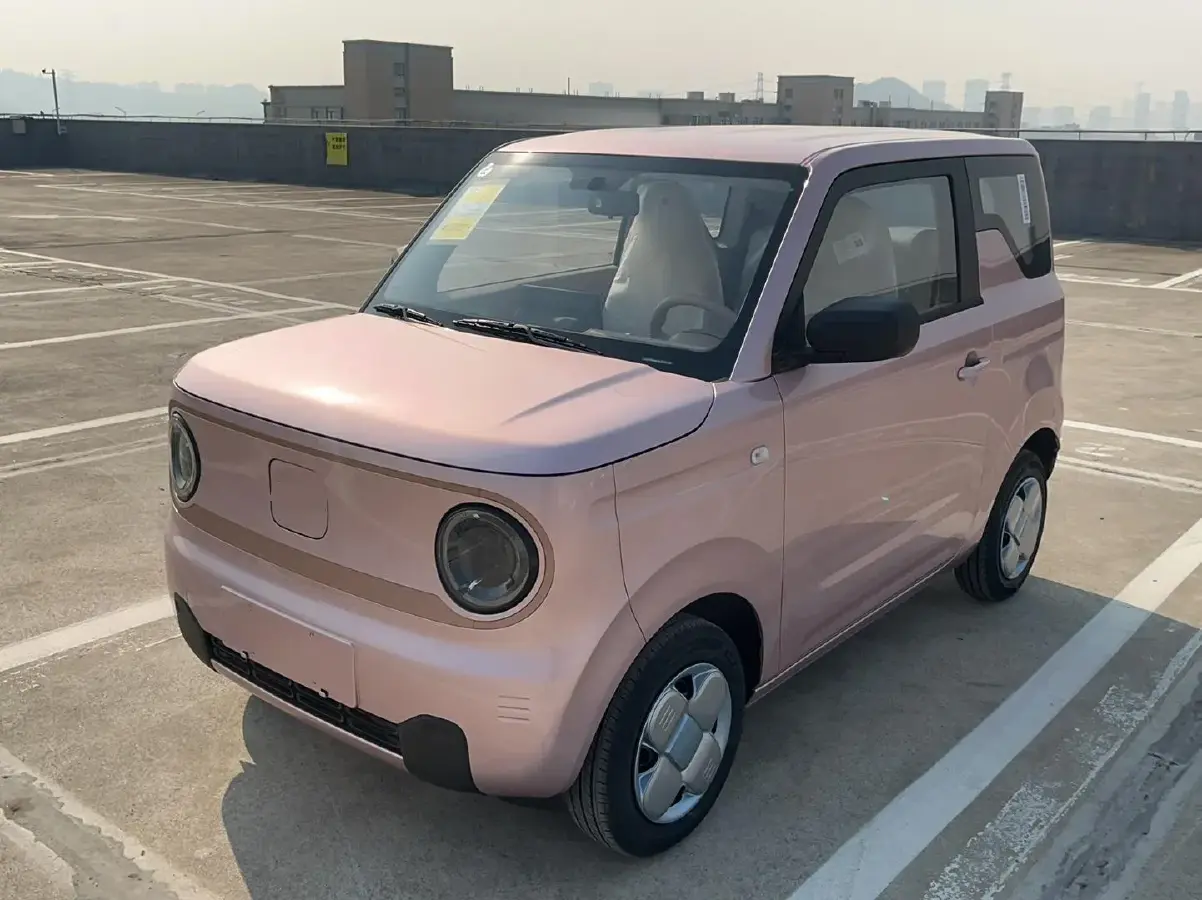 2024 Geely Panda BEV 17.03KWH
