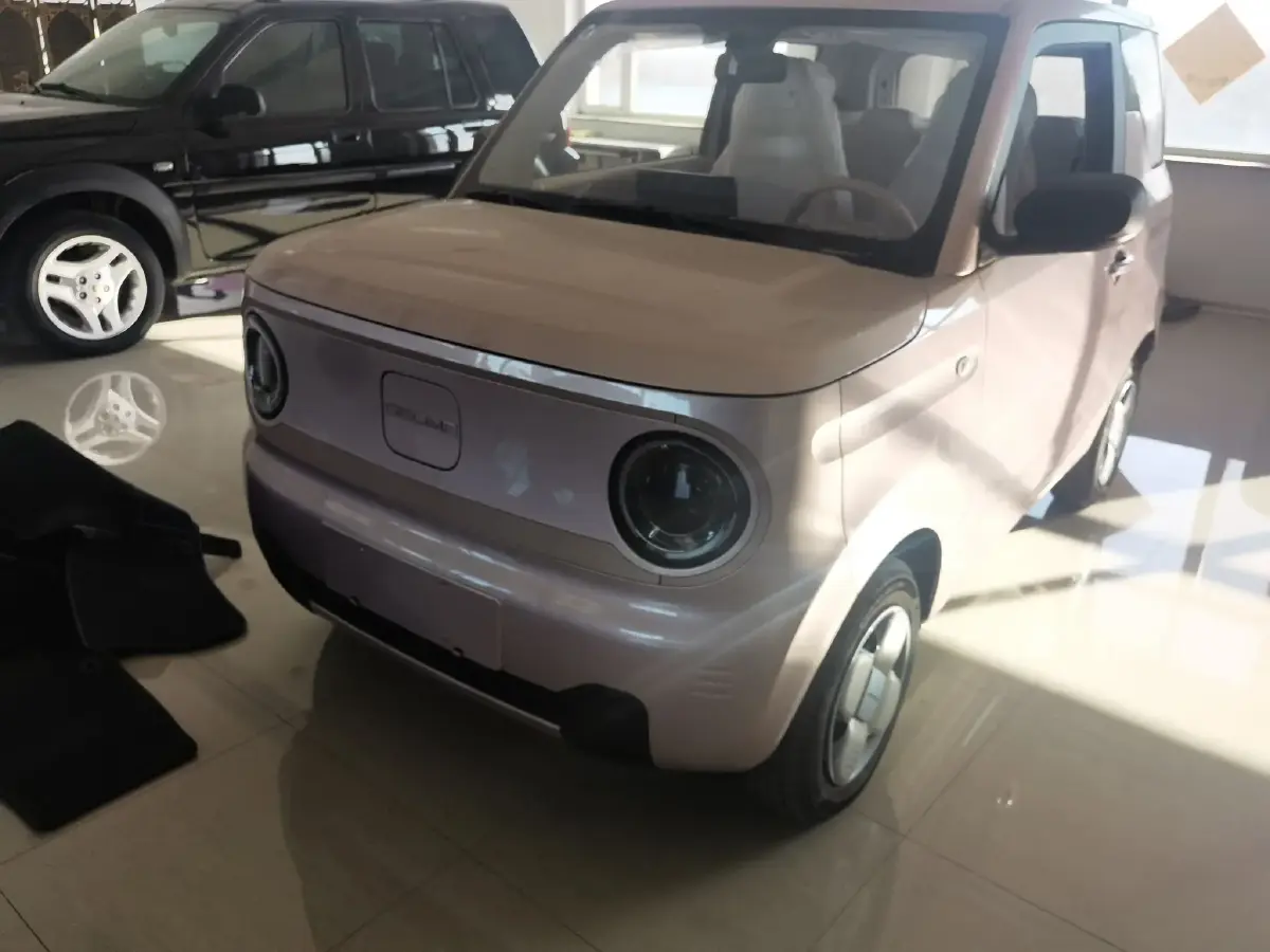 2024 Geely Panda BEV 17.03KWH