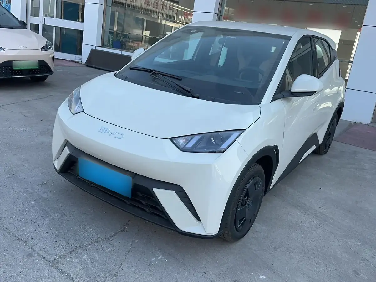 2025 BYD Seagull BEV 30.08KWH