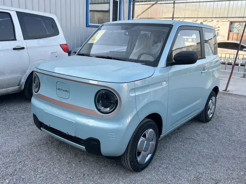 2024 Geely Panda BEV 17.03KWH