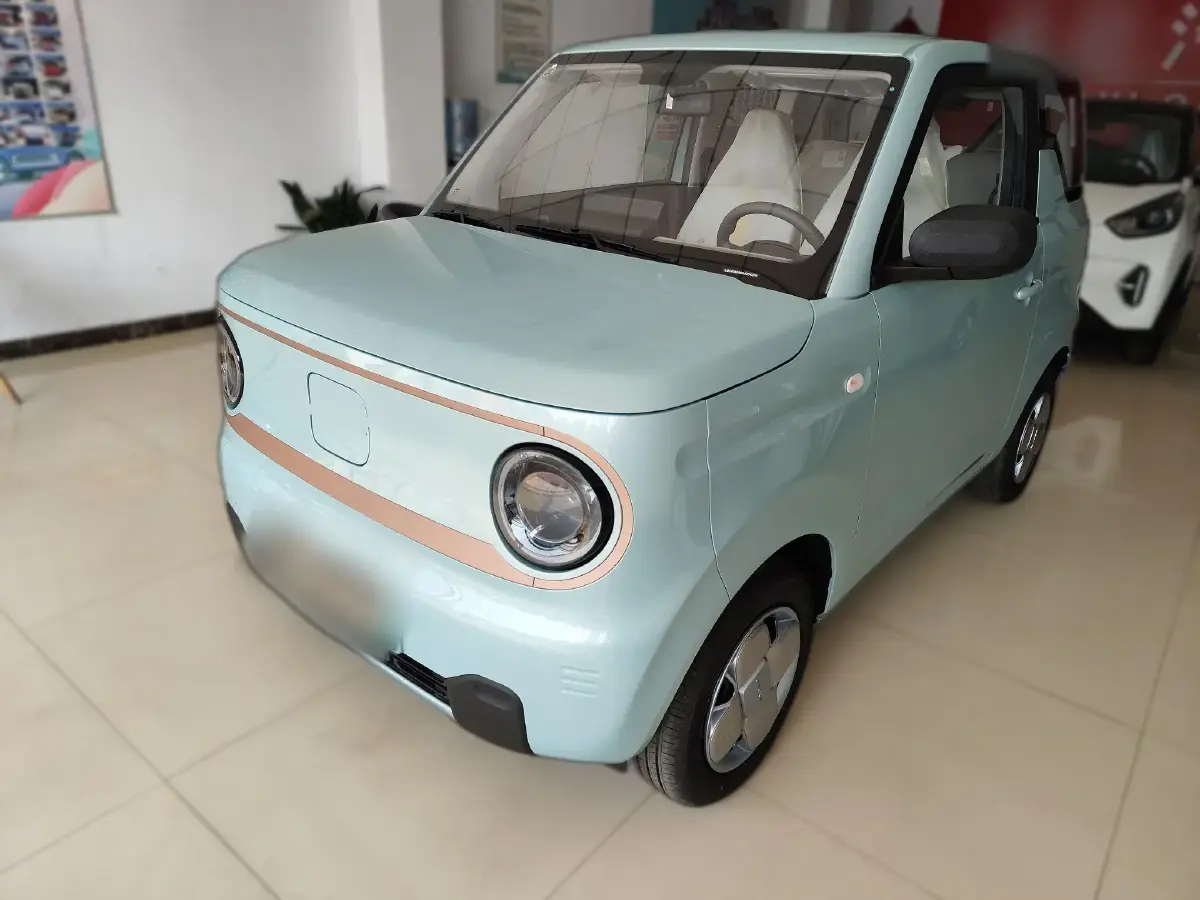 2024 Geely Panda BEV 17.03KWH