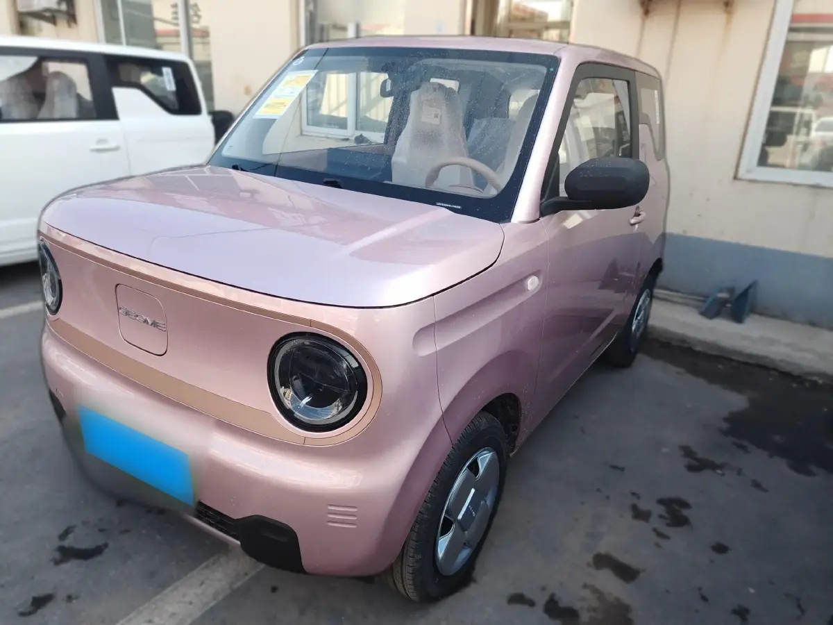 2024 Geely Panda BEV 17.03KWH