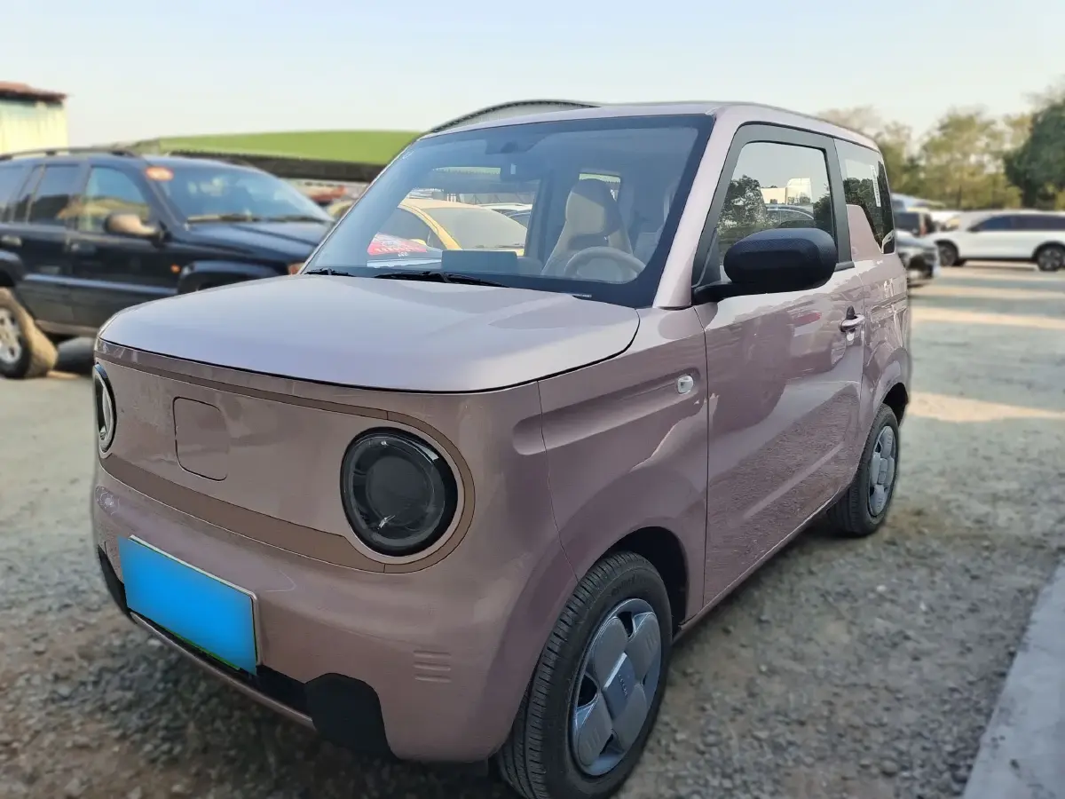 2024 Geely Panda BEV 17.03KWH